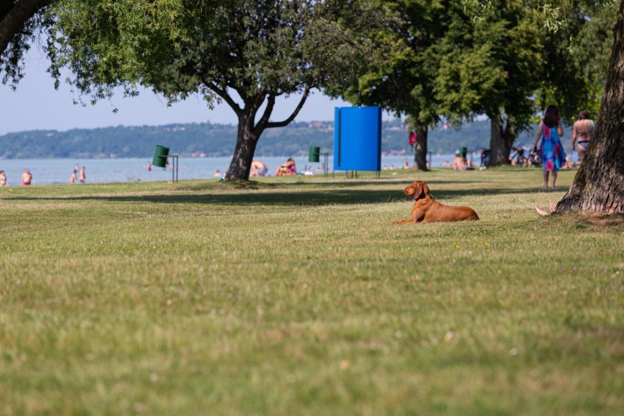 Aranypart Camping & Apartments Siófok Eksteriør bilde